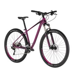 MTB-Hardtail Damen 29